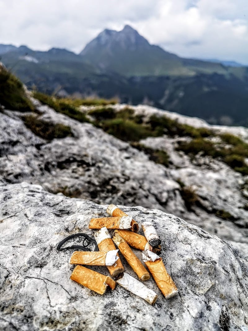 Environment-Friendly Habits